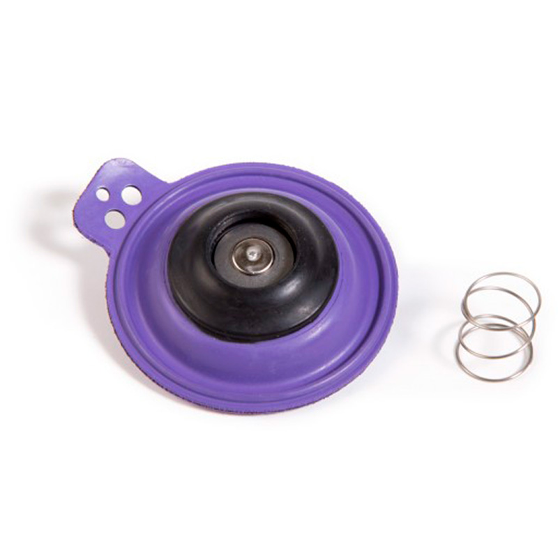 DIAPH100G - Diaphragm Repair Kit for 100 EFA Valves - Ewing