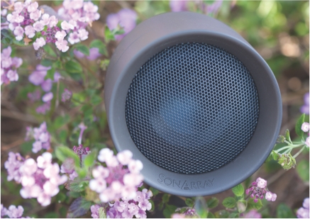 Sonarray speakers sales